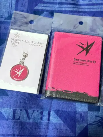 제31A부대 패스케이스 마스코트 참 헤브반