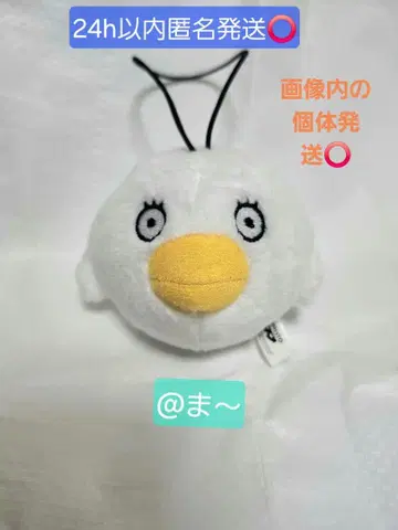 3년 Z반 긴파치 선생님 폼폼 인형 엘리자베스