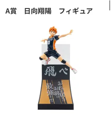 히나타 쇼요 피규어 A상