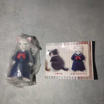 그레네코2 시크릿 시로(스케반) 가챠 초레어