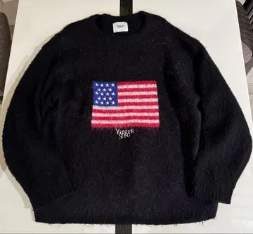 younger song 미국 국기 니트