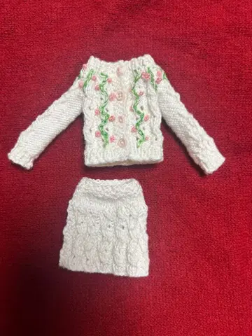 브라이스용 니트 스웨터와 스커트