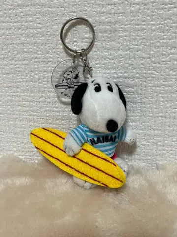 [오키나와 한정판] PEANUTS 스누피 서프샵 키링