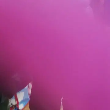 장미 라이카 카타세케이 폴라로이드 등 세트