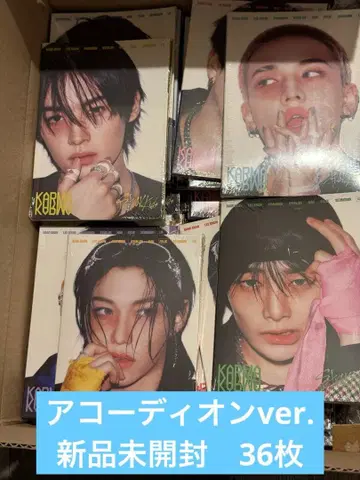 [ 미개봉 새상품 ] karma 아코디언 36장
