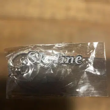 Skyline 실버 키링 C110