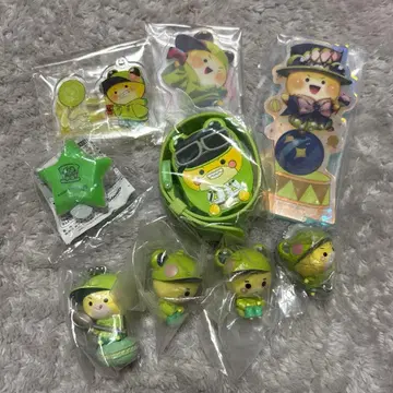 시바 카라피치 묶음 판매