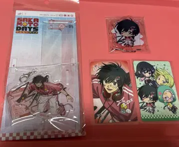 데코라 나구모 4점 세트