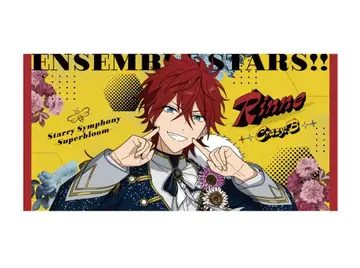 앙스타 스타포니 빅 비주얼 타월 린네