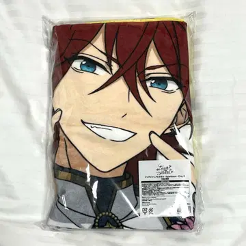 앙스타 스타포니 빅 비주얼 타월 린네