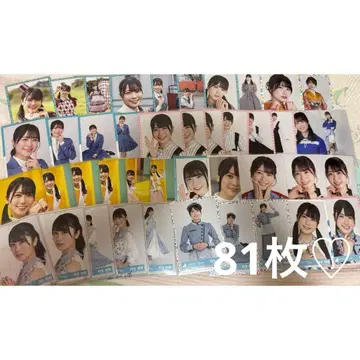 히나타자카46 니부 아카리 브로마이드 묶음 판매 81장