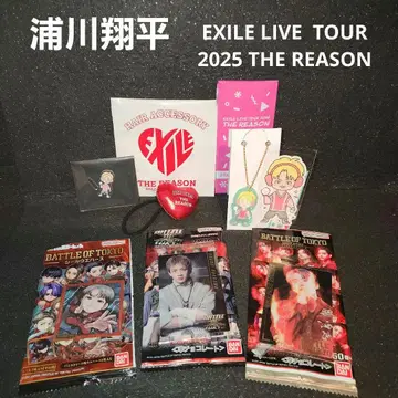 우라카와 쇼헤이 THE REASON 헤어밴딩 러버 키링 스티커 외