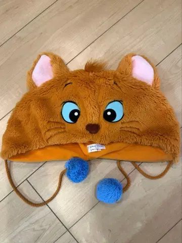 루즈 팬캡 디즈니