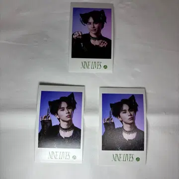 초특급 미니 포토 NINE LIVES 타쿠야 쿠사카와 타쿠야