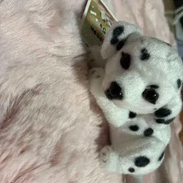 리얼 애니멀 강아지 엎드림 마스코트 BC 달마시안 봉제 인형