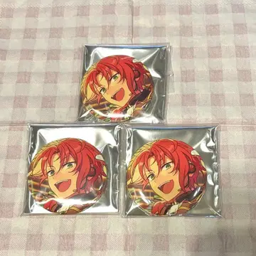 앙스타 피처 캔뱃지 츠키나가 레오