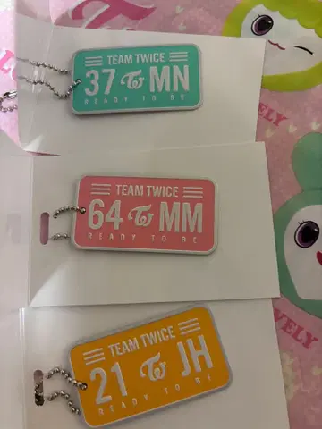 TWICE 랜덤 플레이트 키링