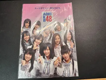 AOKI AKB48 클리어 파일 A4
