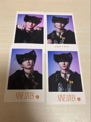 초특급 하루 미니 사진 REAL?