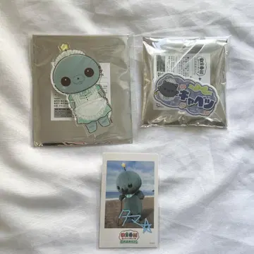 교육 방송 타마 호메호메 카페 굿즈 아크릴 스탠드