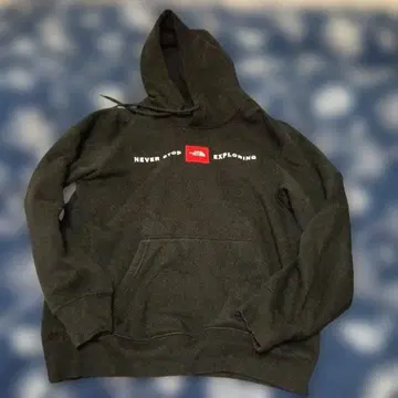 The North Face 후디