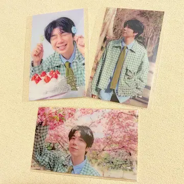 니시야마 코타로 코타로의 날 트레이딩 카드 3장 니시야마의 턴