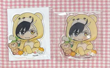 WIND BREAKER 윈브레 파보테리아 아크릴 스탠드 사쿠라 하루카