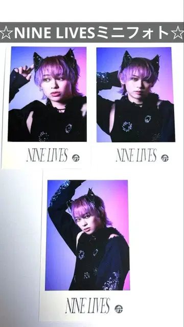 초특급 슈야 NINE LIVES 미니 사진