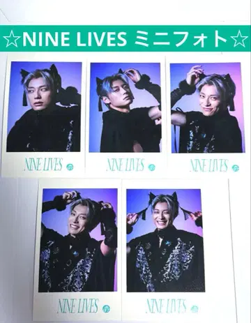 초특급 알로하 NINE LIVES 미니 사진 컴프 세트