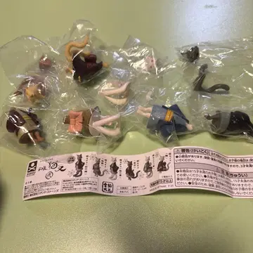 일본 의류 네코마타 2탄 5종