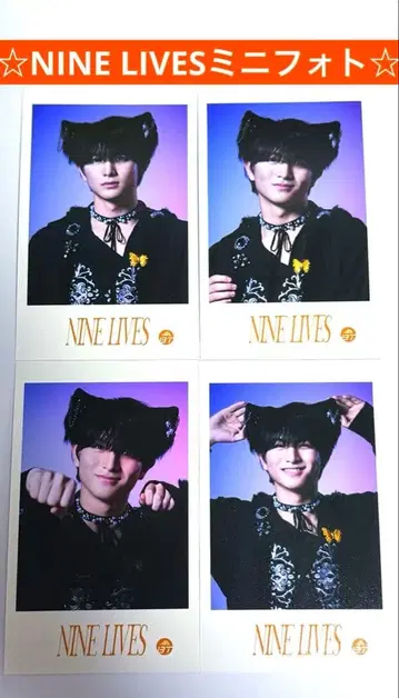 초특급 하루 NINE LIVES 미니 사진 세미 컴프