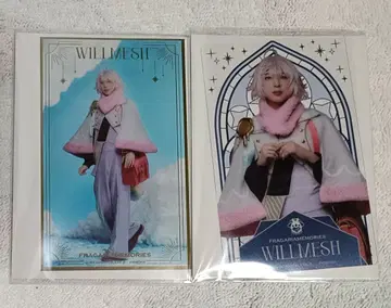 플라뮤 클리어 카드 윌메쉬