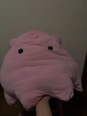 문어 봉제 인형