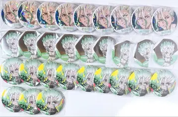이시가미 센쿠 Dr.STONE 캔뱃지 묶음 판매