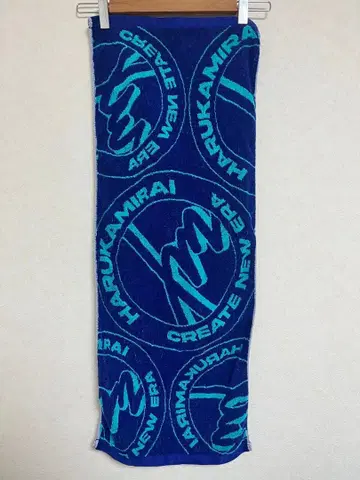 하루카미라이 타월