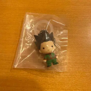 헌터헌터 HUNTER x HUNTER 메지루시 액세서리 컴플리트