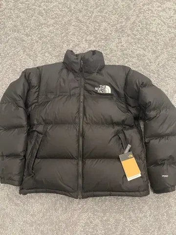 THE NORTH FACE 1996 레트로 눕시 다운 자켓