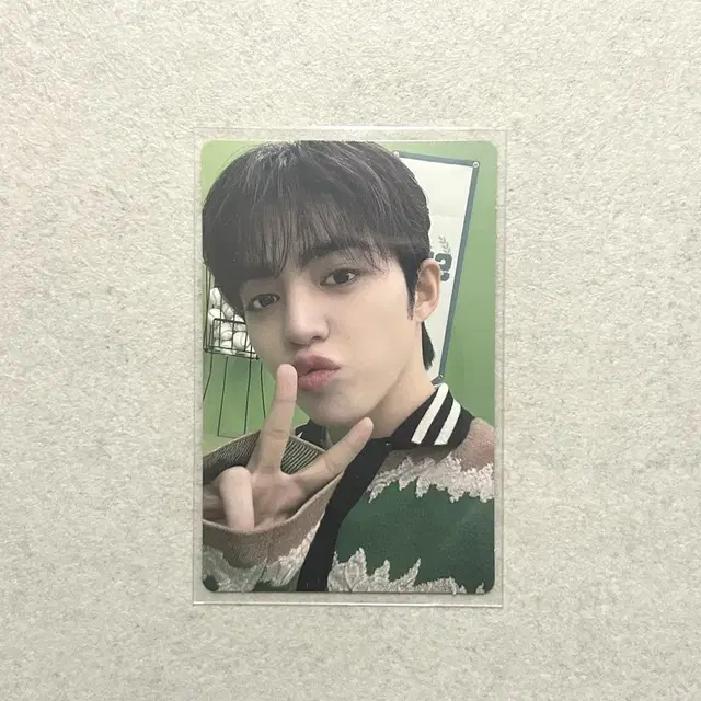 세븐틴 에스쿱스 캐럿랜드 트레카 셀포 양도