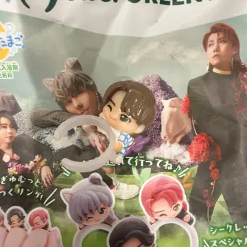 Mrs. GREEN APPLE 빗쿠라타마고 와카이 히로토