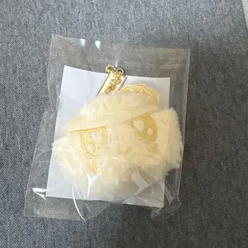 SEVENTEEN NEW_모자 꽁지 키링 NAGOYA 나고야