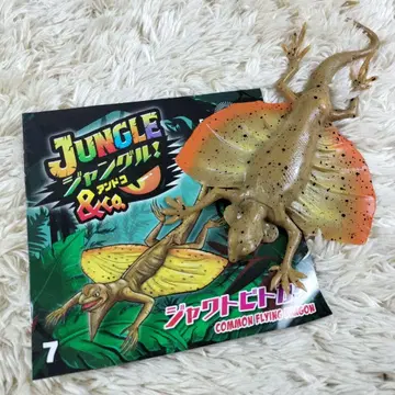 새상품 자바날개도마뱀 정글 &co. 안도코 데아고스티니