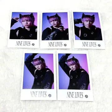 초특급 슈야 NINE LIVES 미니 사진 세미 컴프