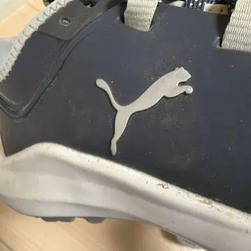 PUMA 여성용 스니커즈 골프에서도 좋아요!