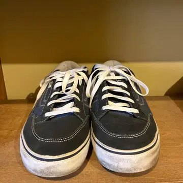 반스 베어캣 블루