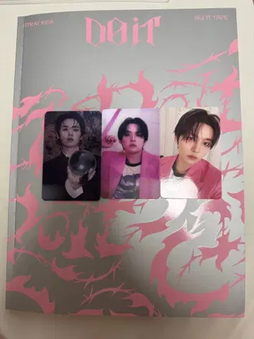 StrayKids 스키즈 Do it ITver. 리노 세트