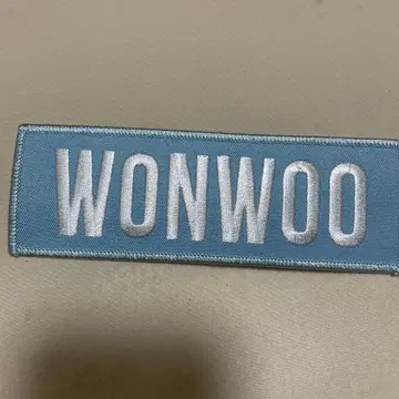 WONWOO 와펜