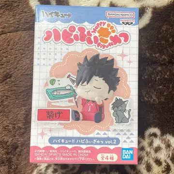 하이큐!! 하피피규 vol.2 쿠로오 테츠로