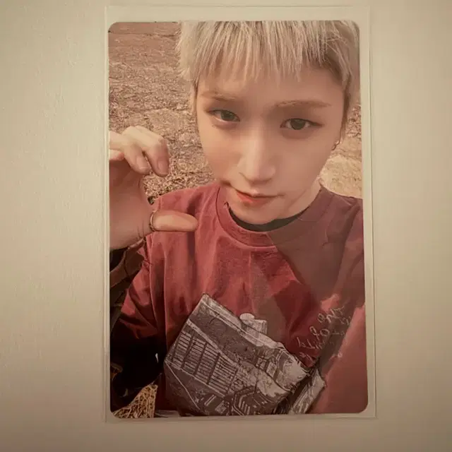 노장르 리우 앨범 포카 앨포