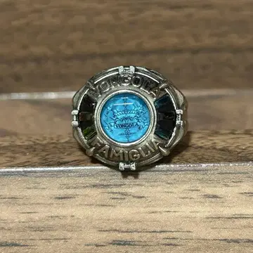 가정교사 히트맨 REBORN 뉴 본고레링 하늘의 반지 사와다 츠나요시 1