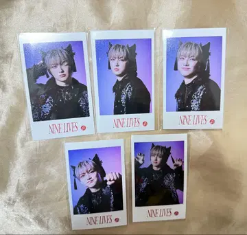 초특급 유키 NINE LIVES 미니 사진 컴프